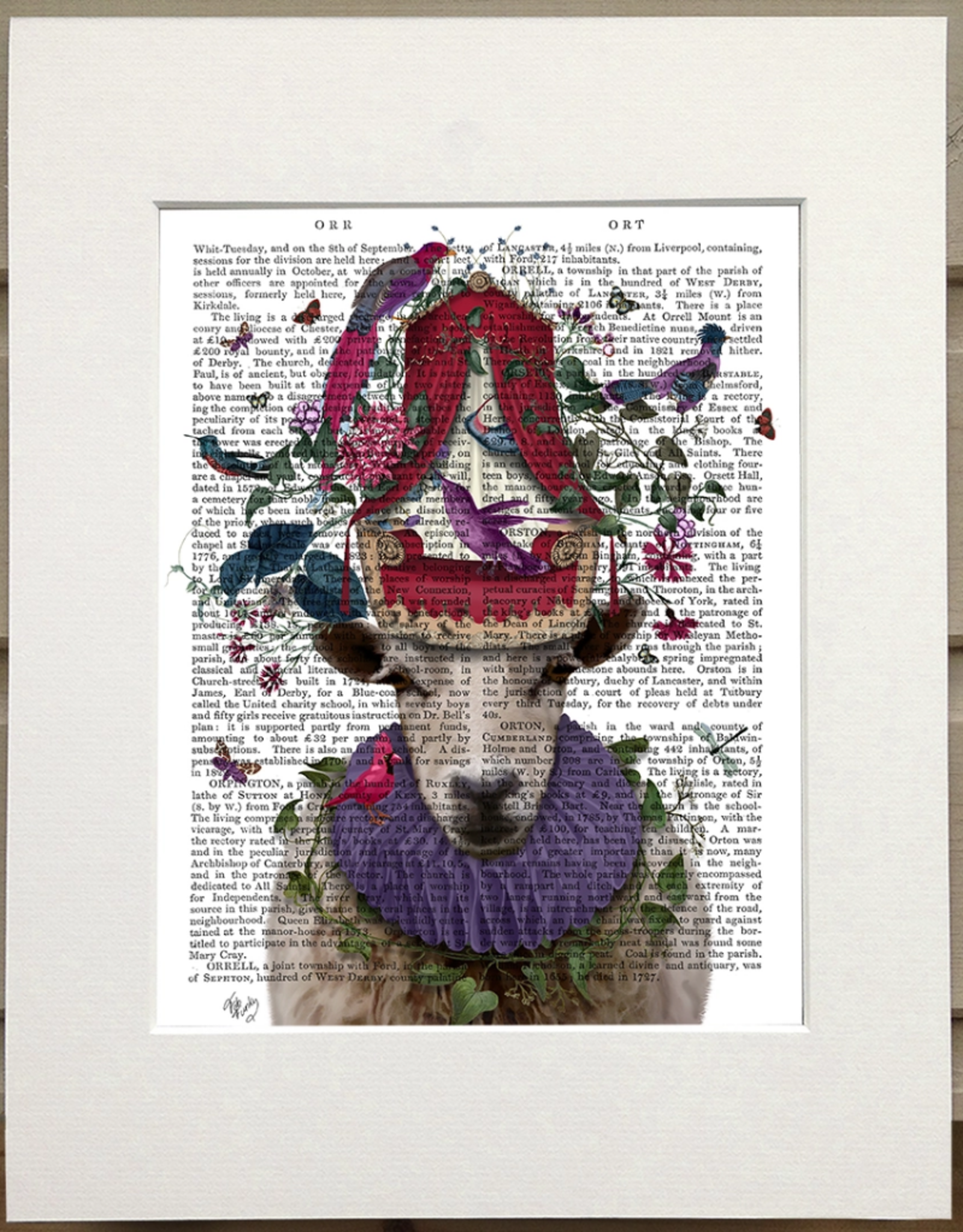 Faire/FabFunky LTD ART PRINT-ANIMAL ON PAGE 11 X 14  (SET I)