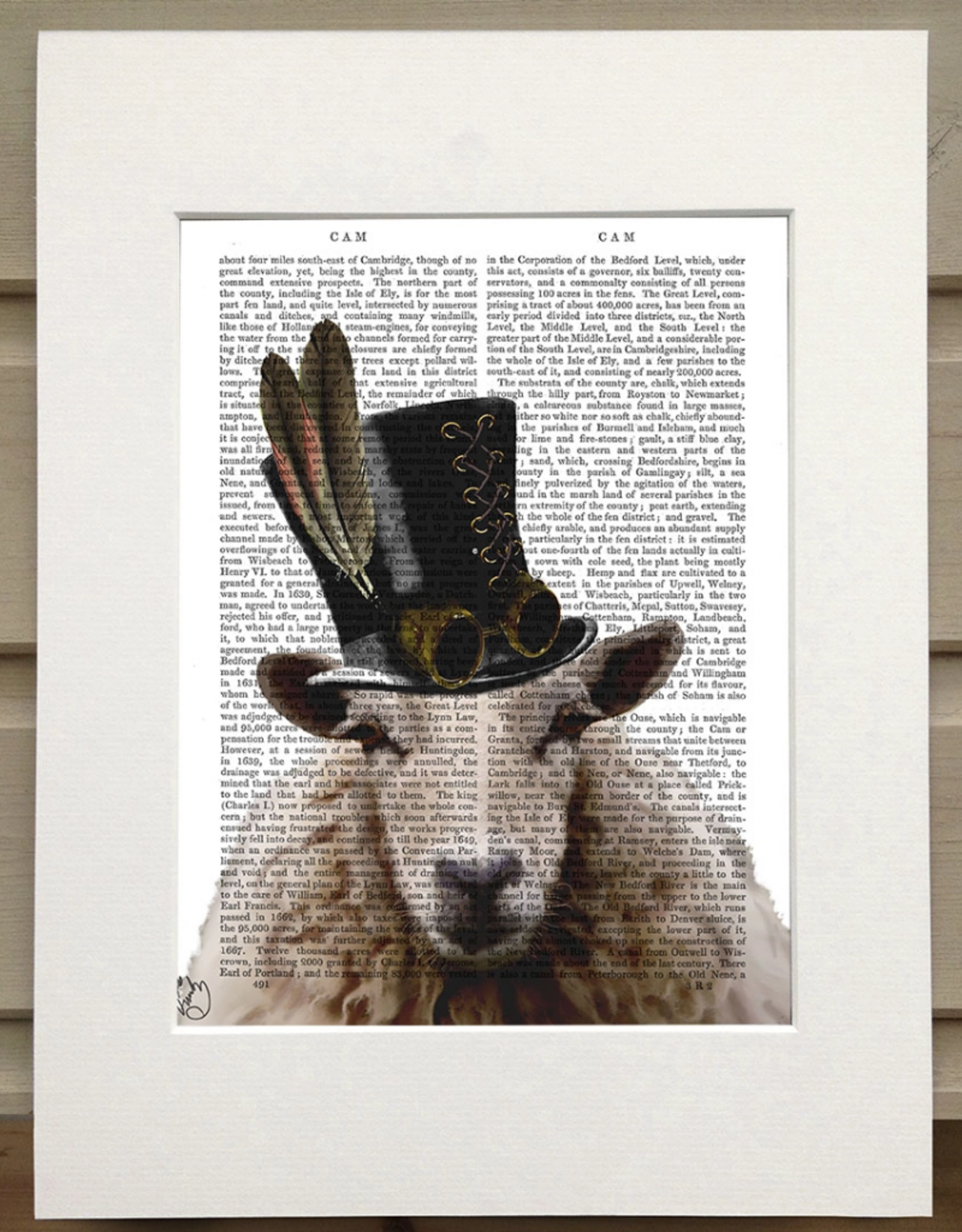 Faire/FabFunky LTD ART PRINT-ANIMAL ON PAGE, 11 X 14  (SET II)