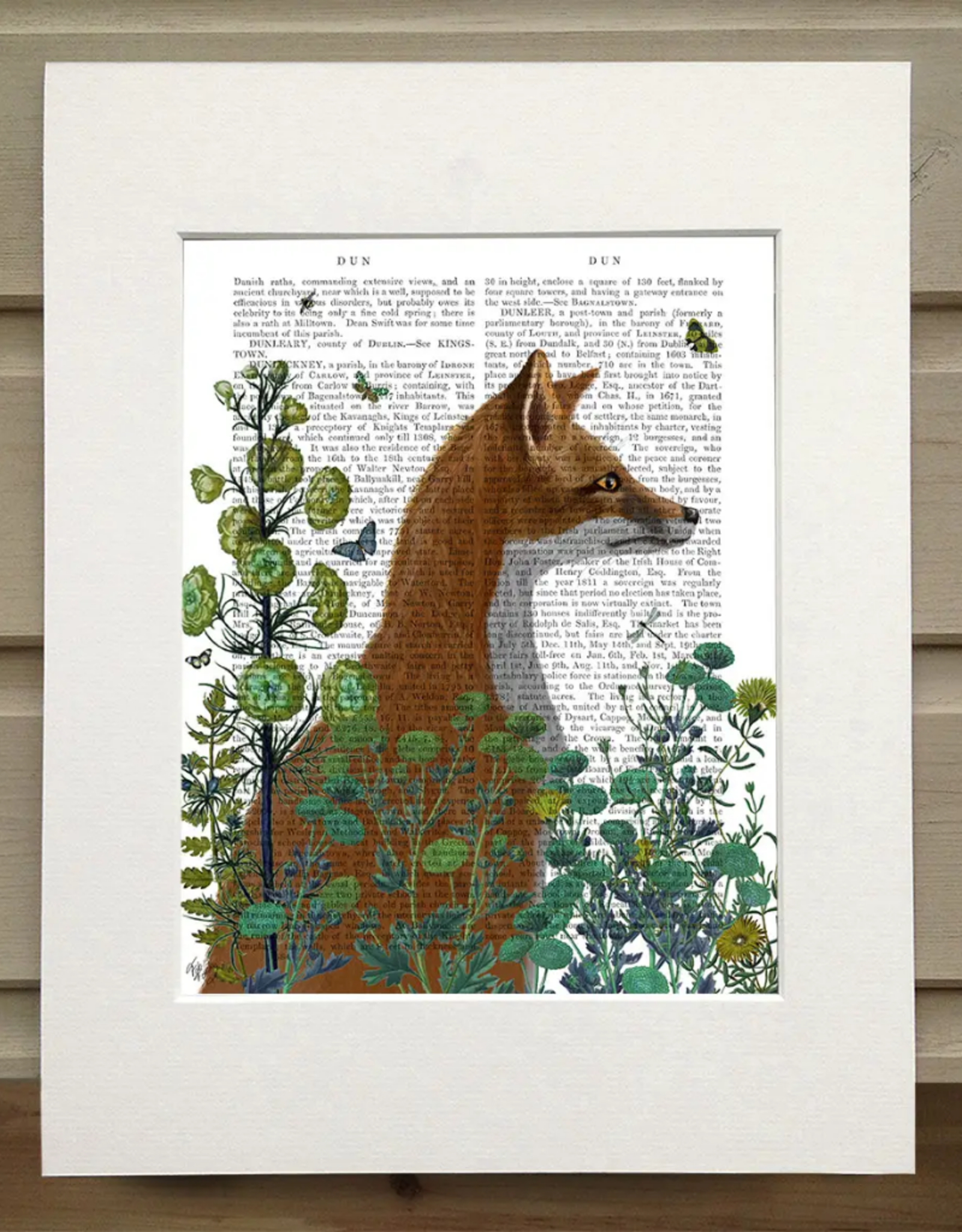 Faire/FabFunky LTD ART PRINT-ANIMAL ON PAGE, 11 X 14  (SET II)