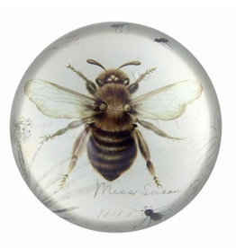 PAPERWEIGHT-GLASS DOME, BEE PRINT