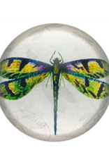 PAPERWEIGHT-GLASS DOME, GREEN DRAGONFLY