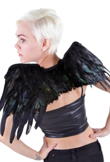 WINGS-FEATHER-RAVEN BLACK