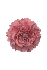 HEADWEAR-TRIM-FLOWER  4”