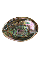Faire/Andaluca ABALONE SHELL
