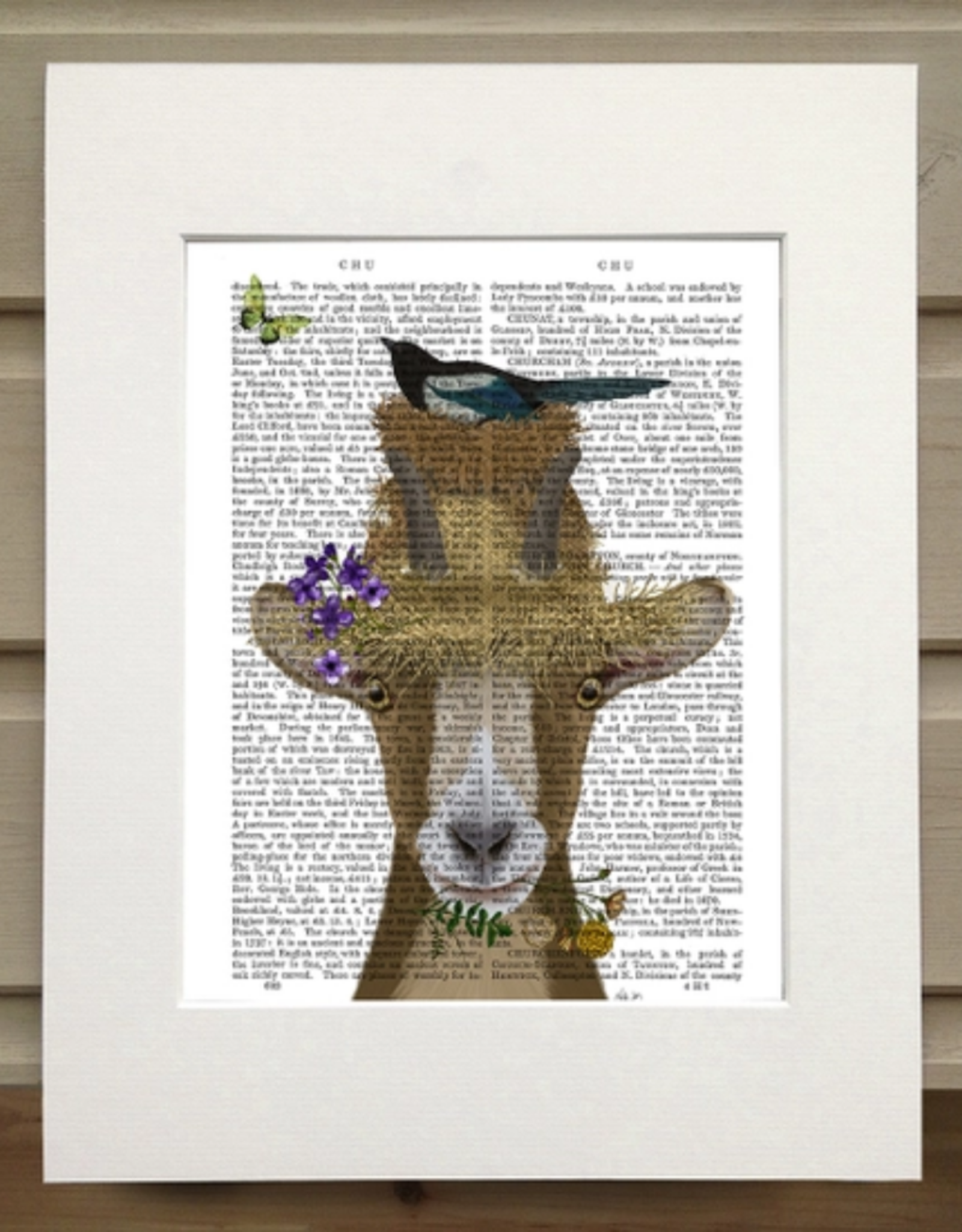 Faire/FabFunky LTD ART PRINT-ANIMAL ON PAGE, 11 X 14  (SET II)