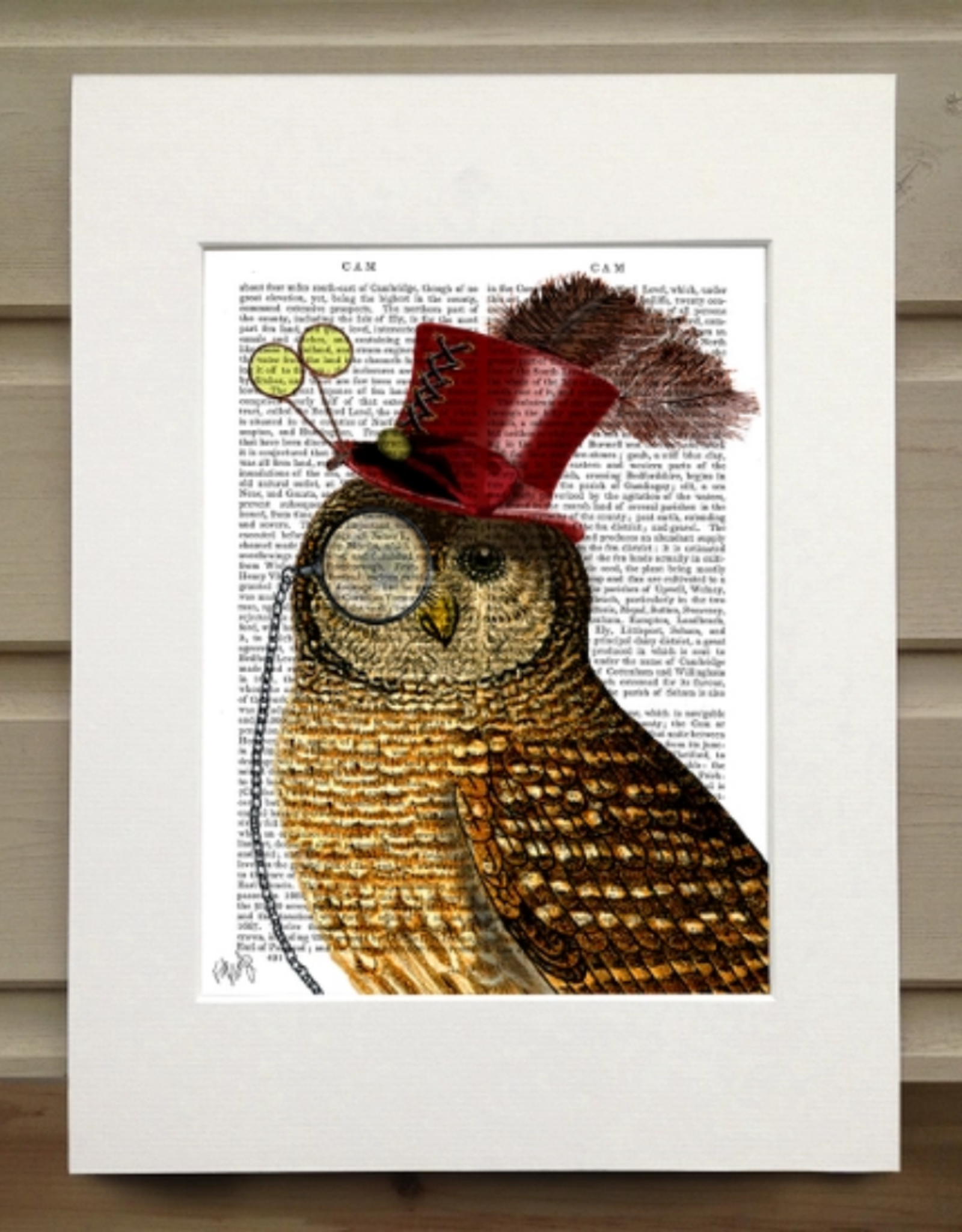 Faire/FabFunky LTD ART PRINT-ANIMAL ON PAGE, 11 X 14  (SET II)