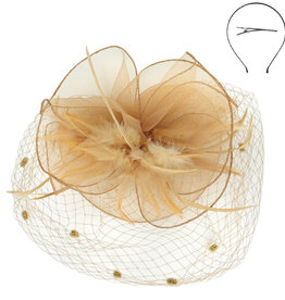 FASCINATOR-DOT MESH W/FTRS HDBD W/CLIP