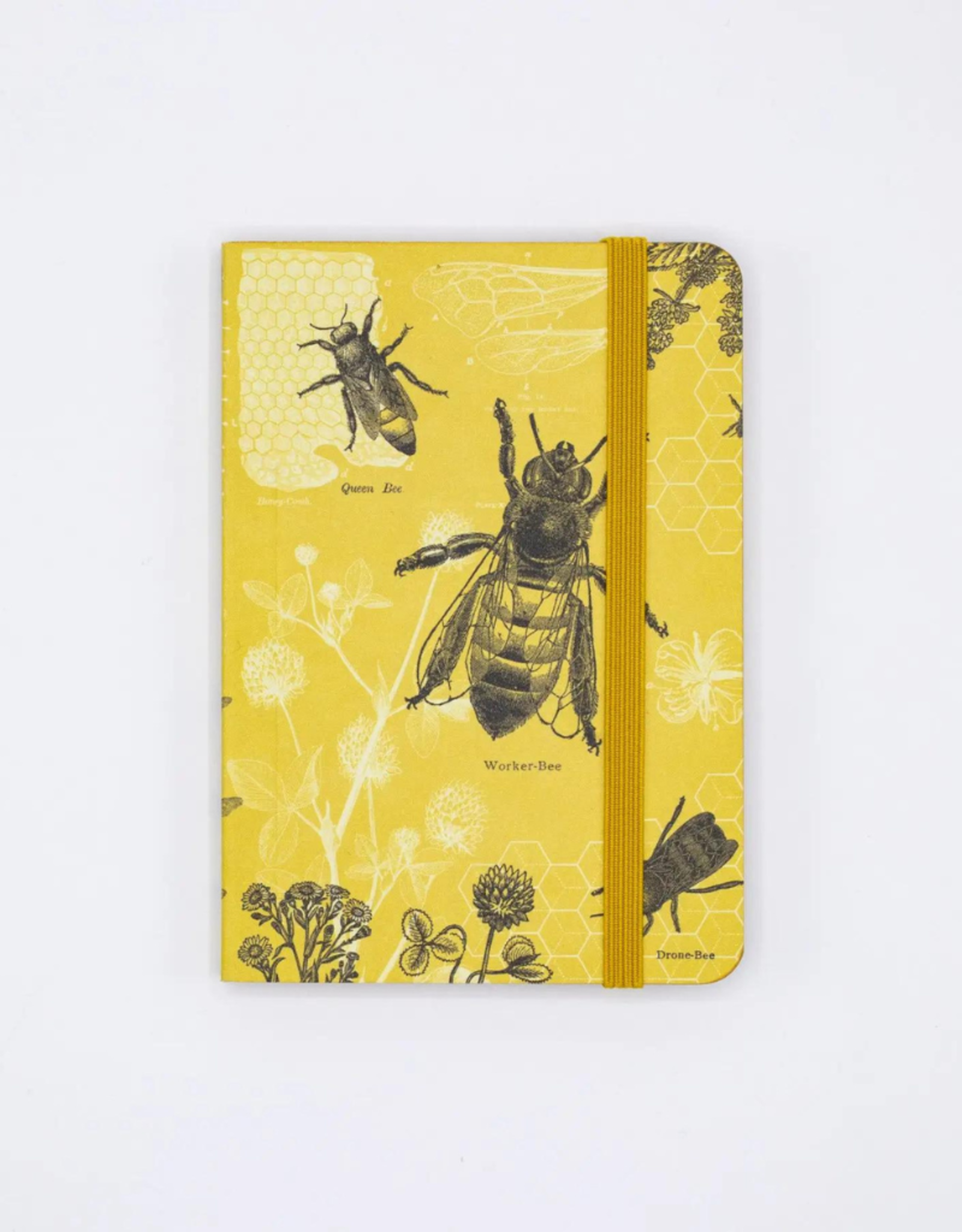 NOTEBOOK-HONEY BEE OBSERVATION SOFTCOVER