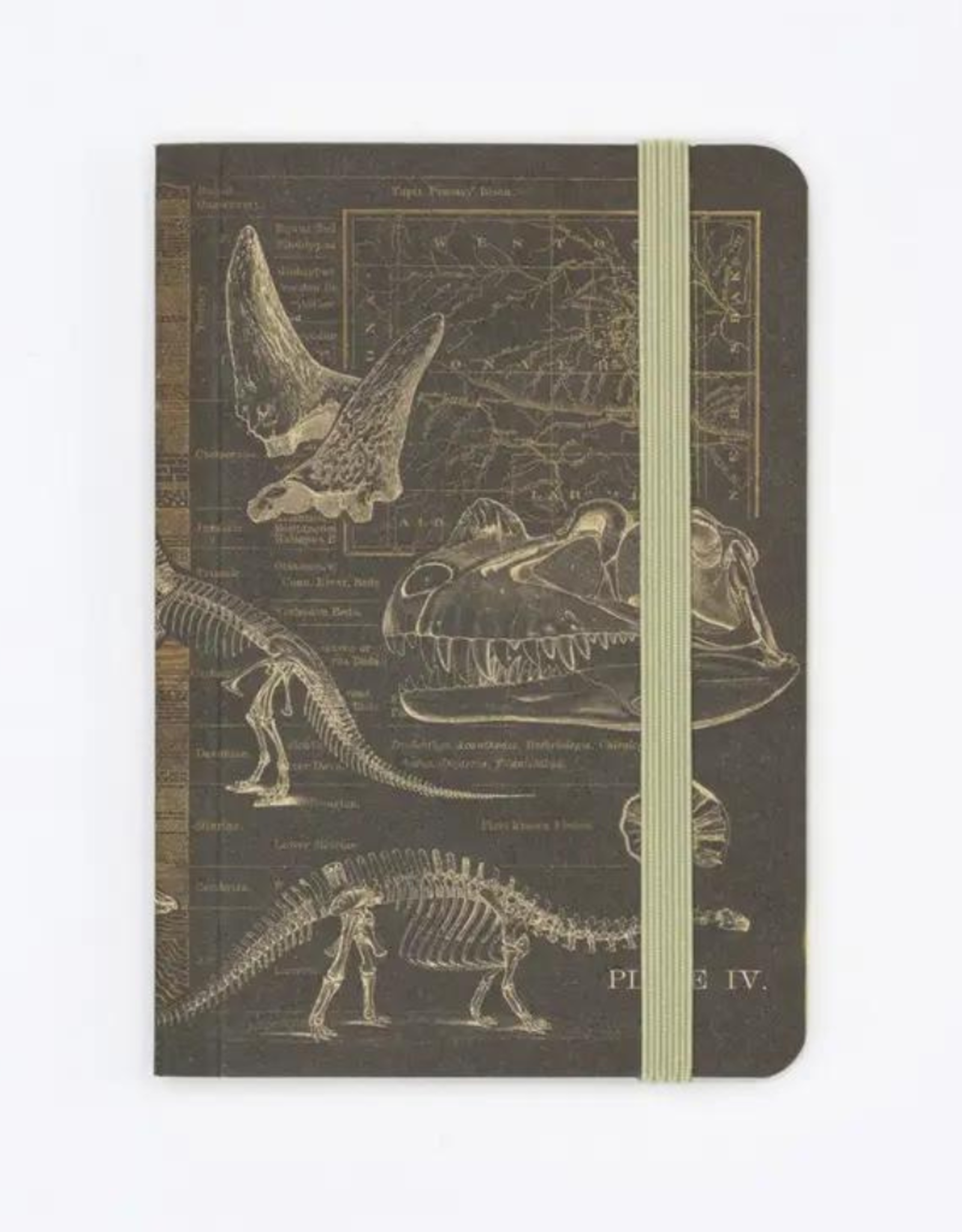 NOTEBOOK-DINOSAUR BONES SOFTBOUND