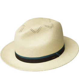 Bailey 1922 HAT-PANAMA "ARION"