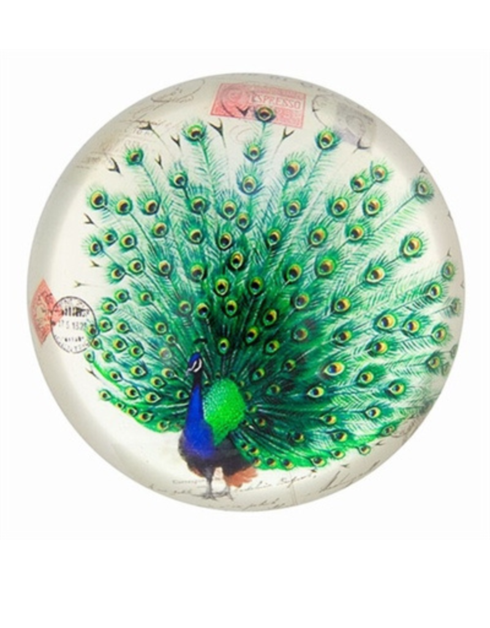 PAPERWEIGHT-GLASS DOME, PROUD PEACOCK