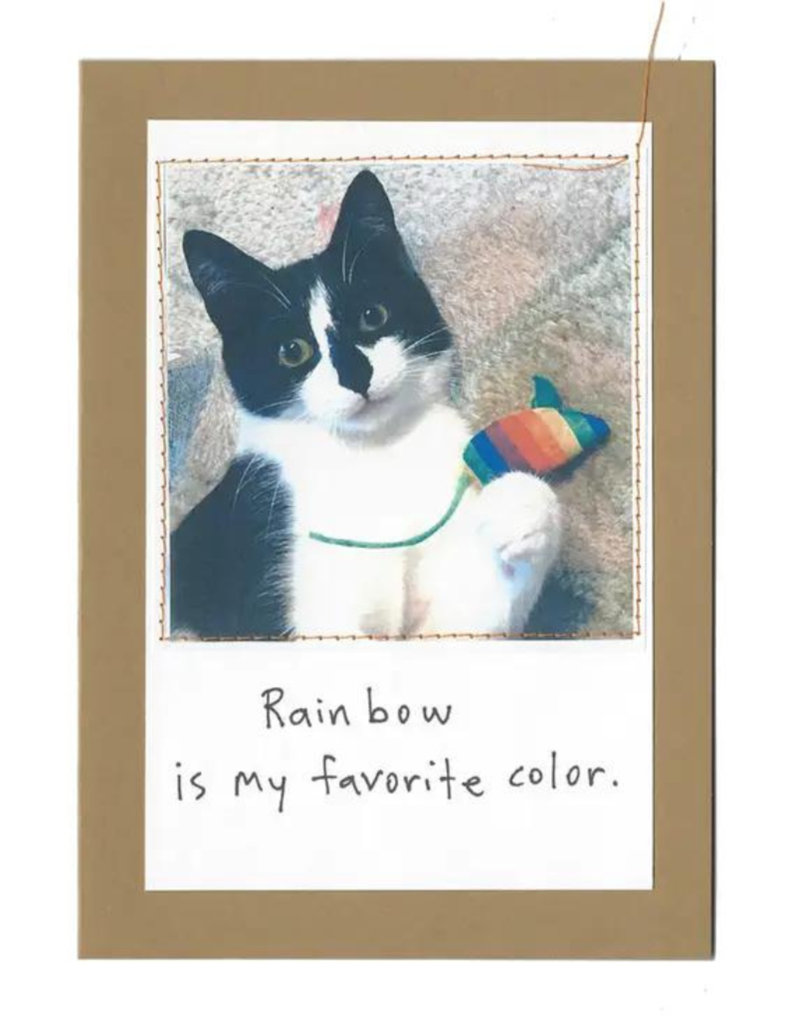 Faire/Visual Treats CARD-JUST BECAUSE "RAINBOW/CAT"