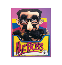 GLASSES-MR.BOSS
