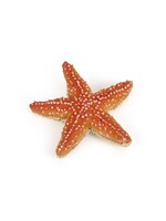 Papo Papo - Starfish