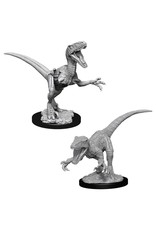 Wizk!ds D&D - Nolzur's Marvelous Miniatures - Raptors