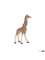 Papo Papo - Giraffe calf