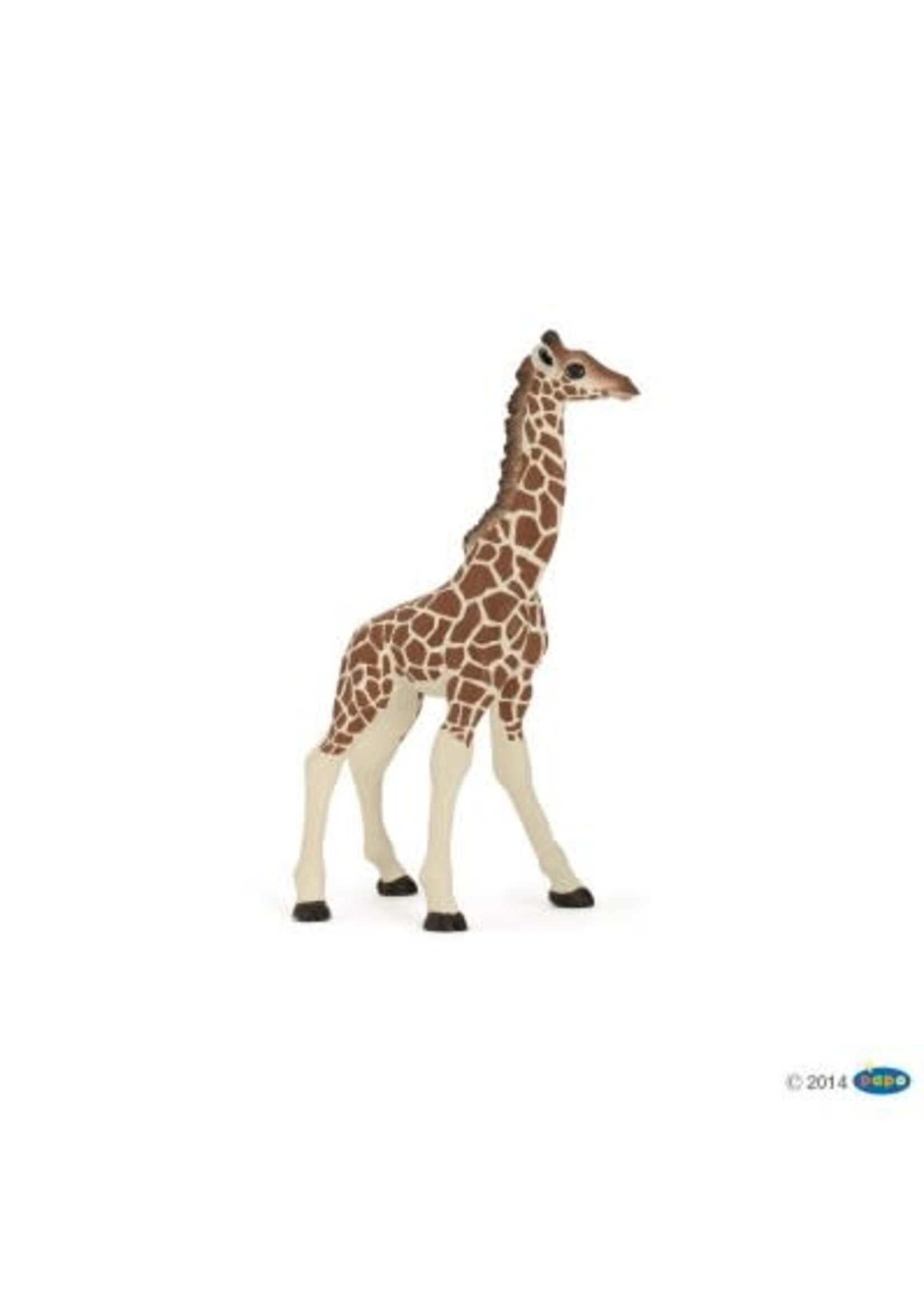 Papo Papo - Giraffe calf