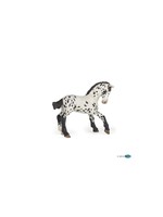 Papo Papo - Black appaloosa foal