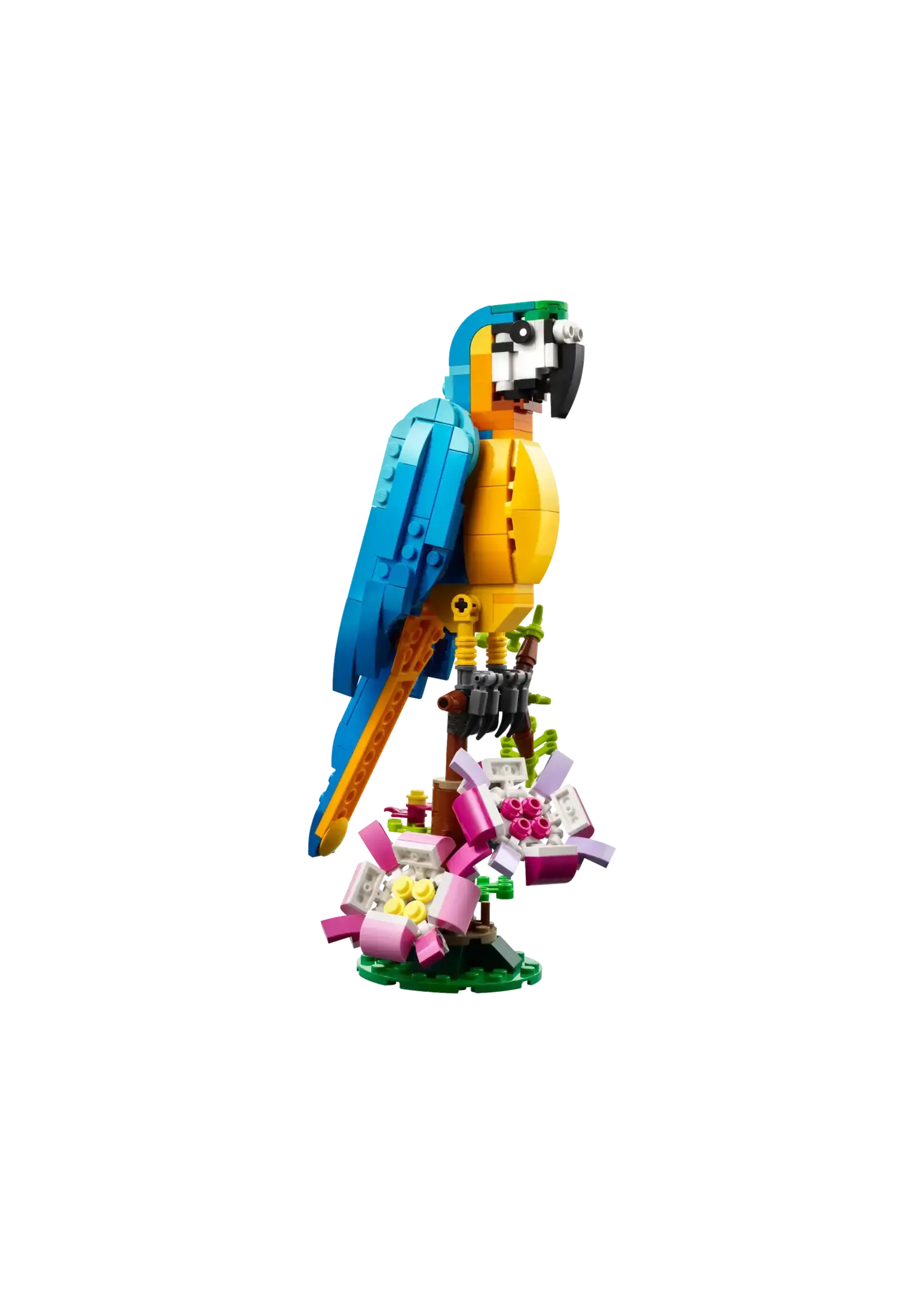 LEGO LEGO - Creator - Le perroquet exotique