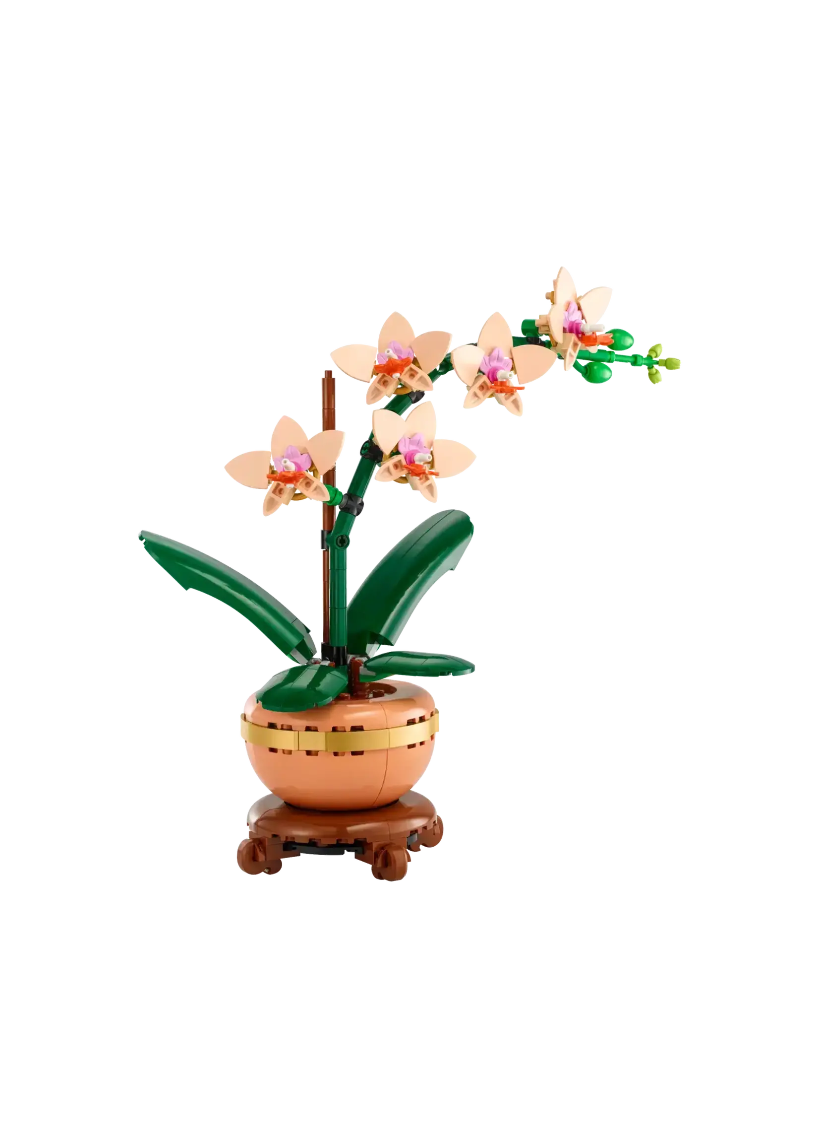 LEGO L'Orchidée miniature - 10343