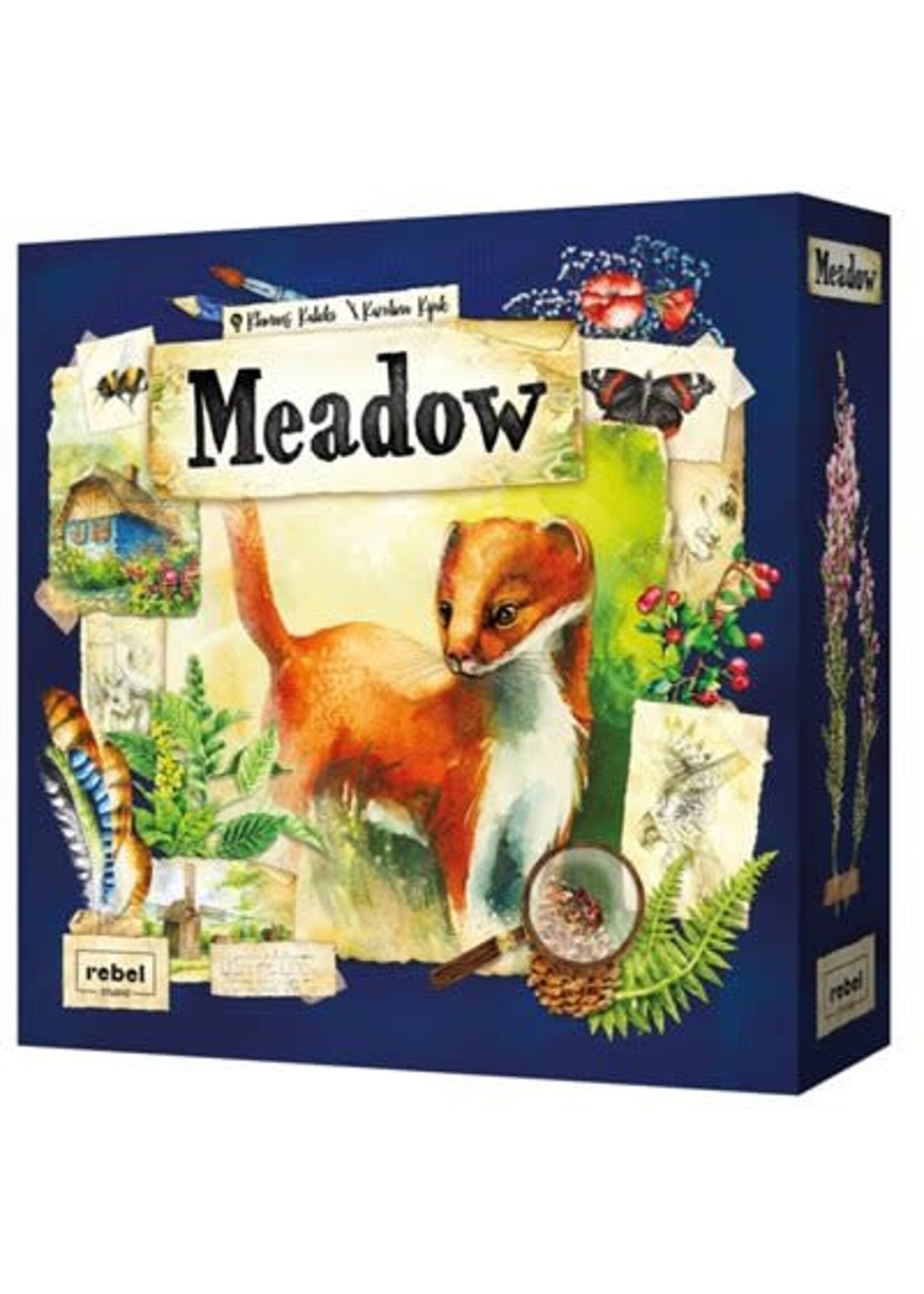 rebel studio MEADOW (ML)