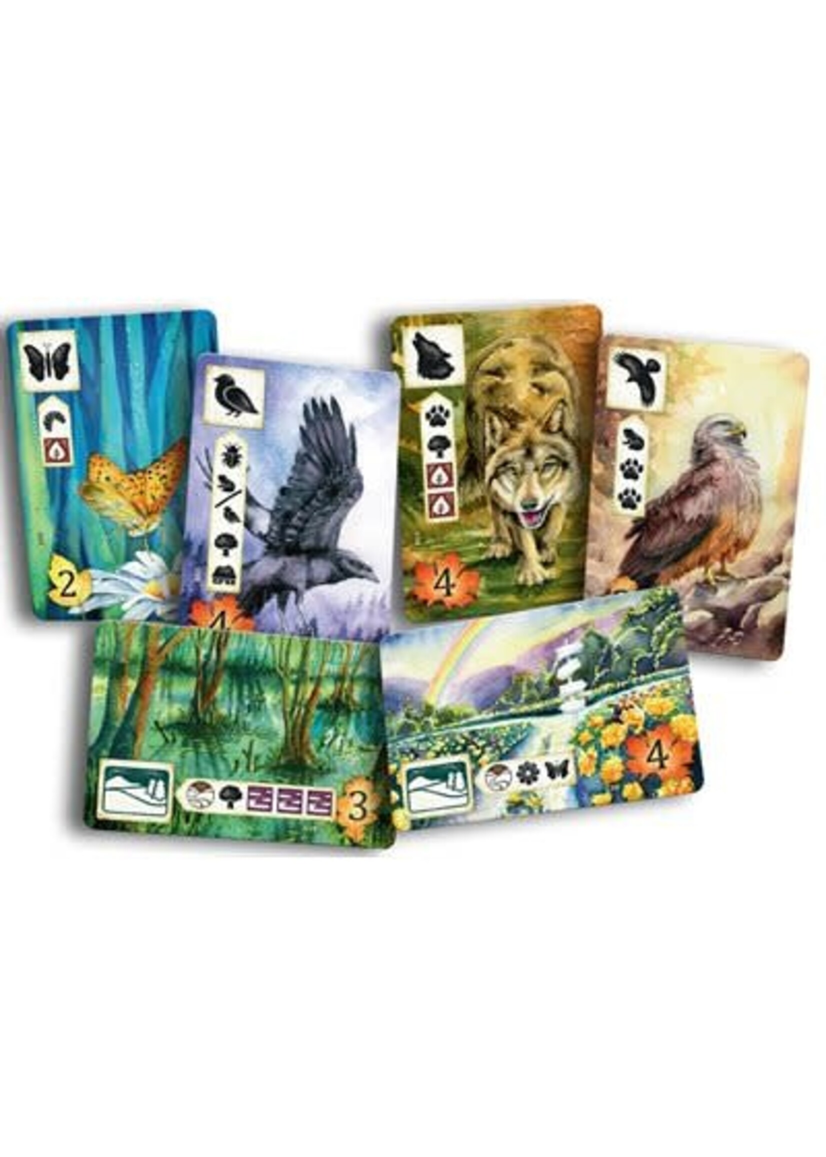 rebel studio MEADOW (ML)
