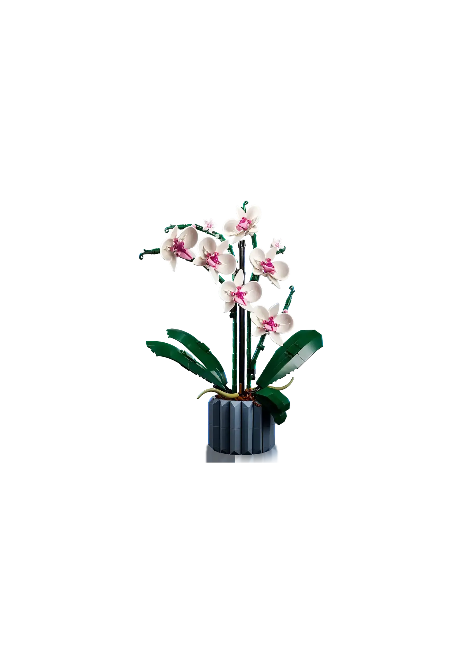 LEGO Botanical collection - Orchidée