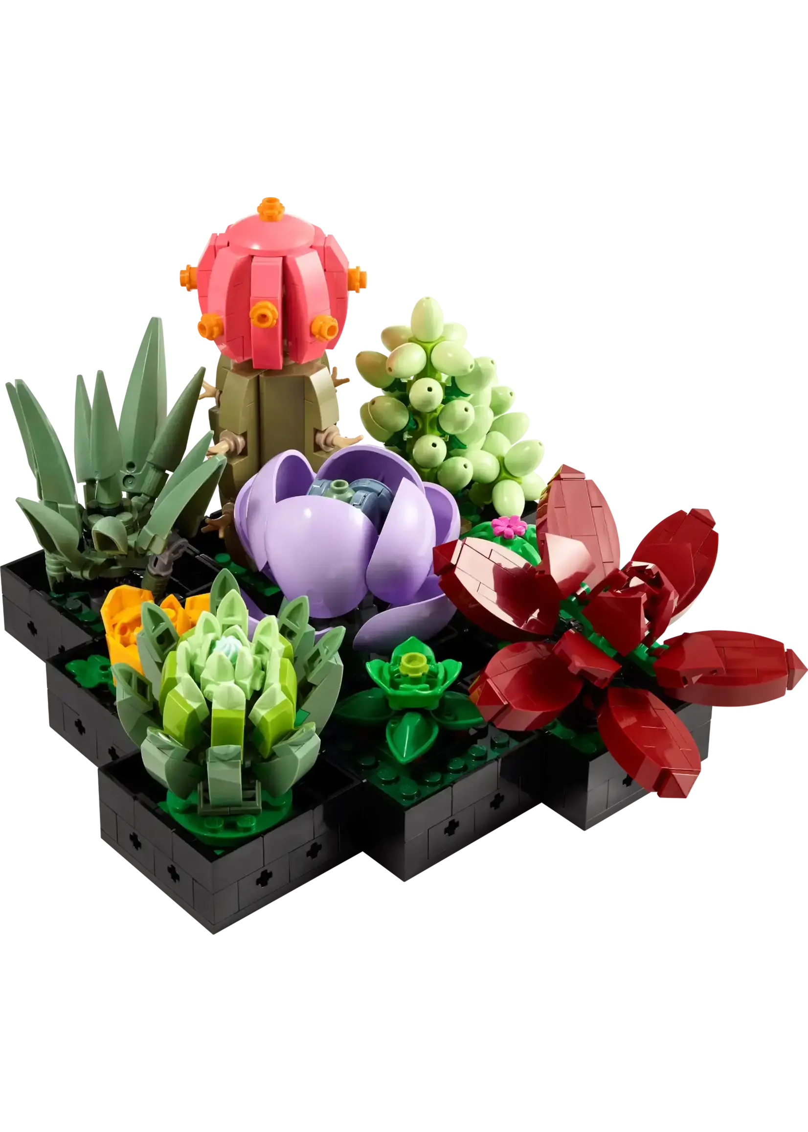 LEGO Succulentes - 10309