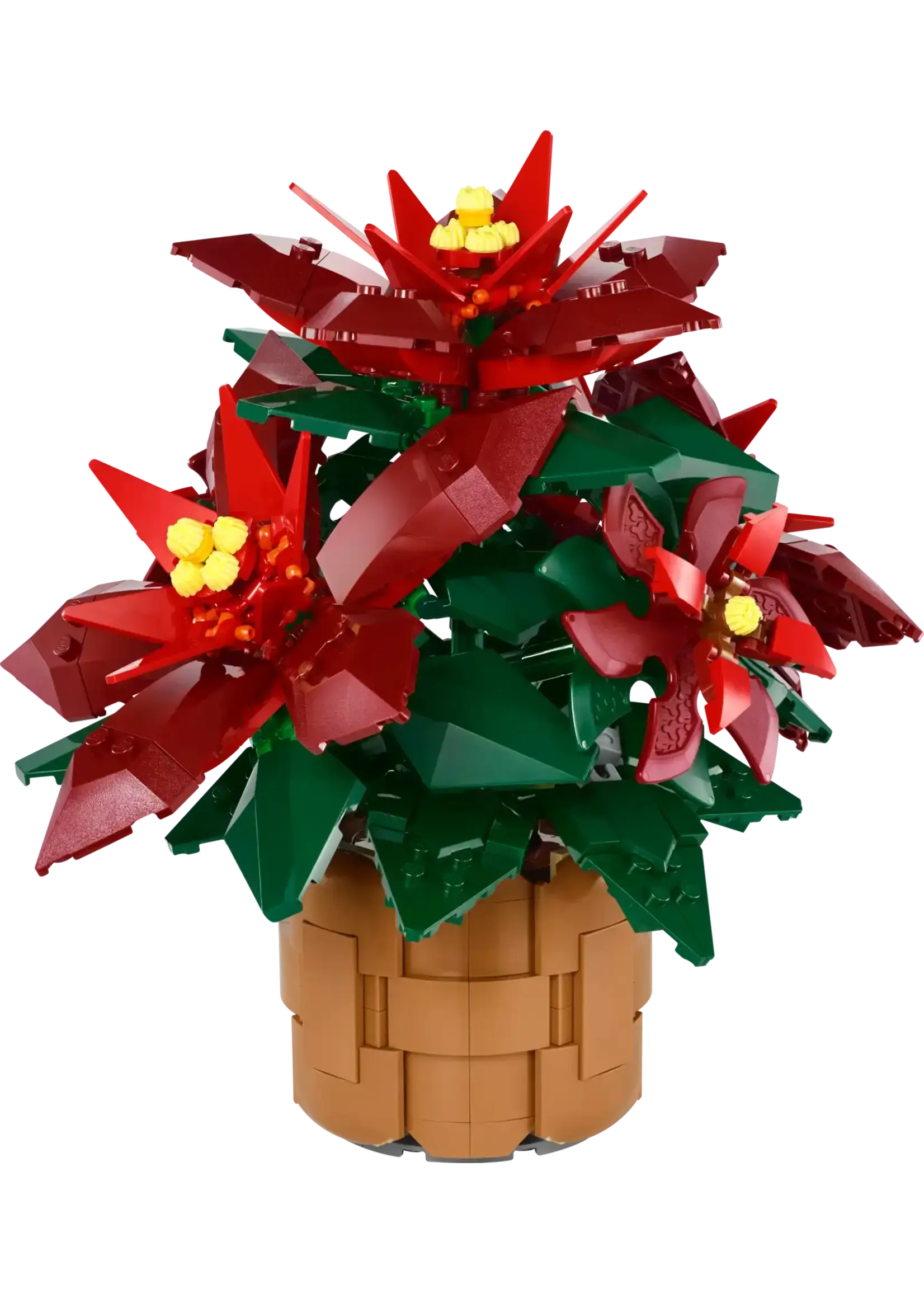LEGO Le poinsettia - 10370