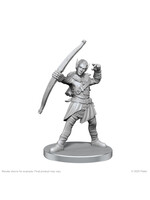 Deep Cuts PATHFINDER DEEP CUTS UNPAINTED MINIATURES  -  RPG MINIATURE  -  ELF HUNTER & CATFOLK BANDIT