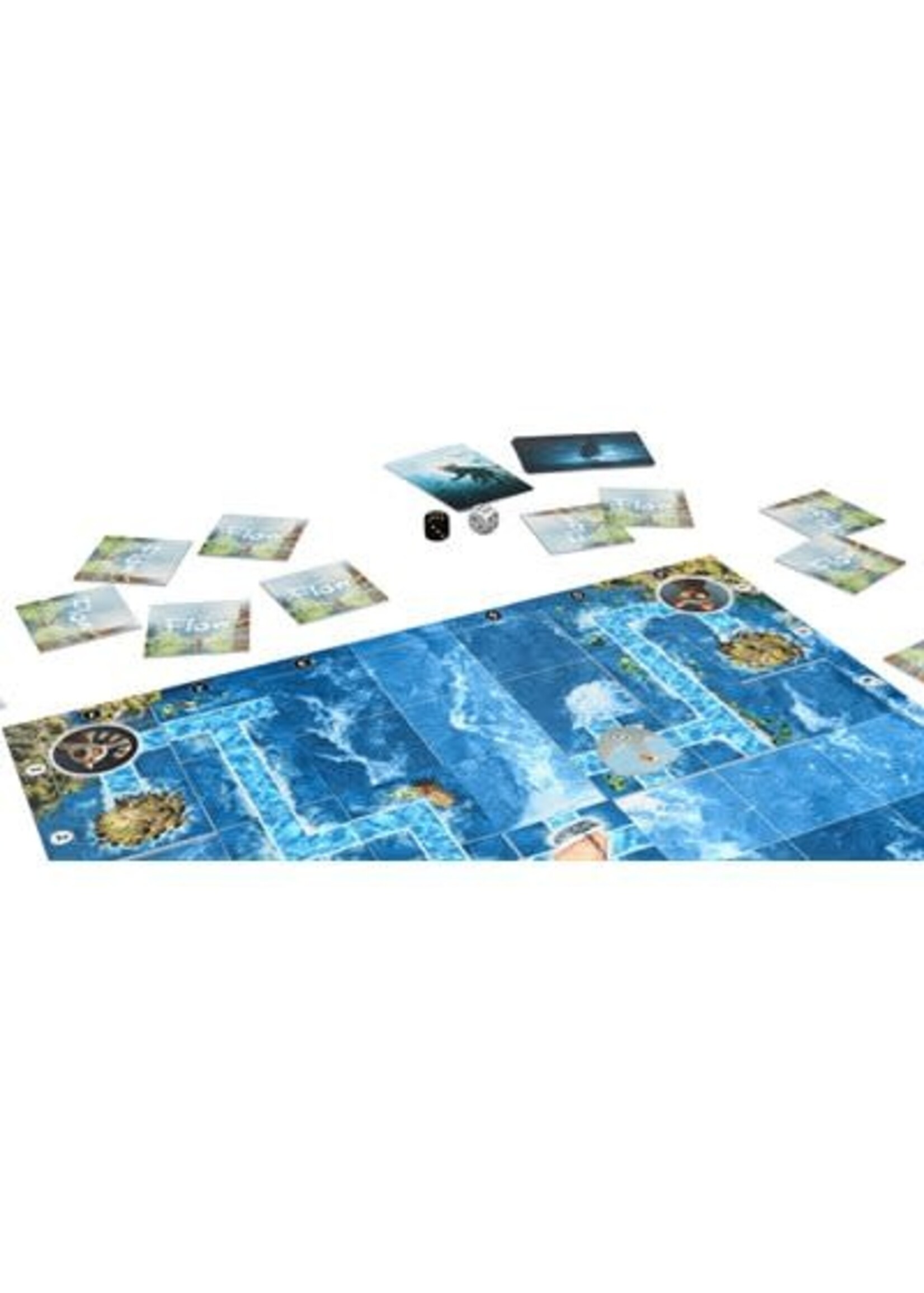 Braingames Flow (ML)