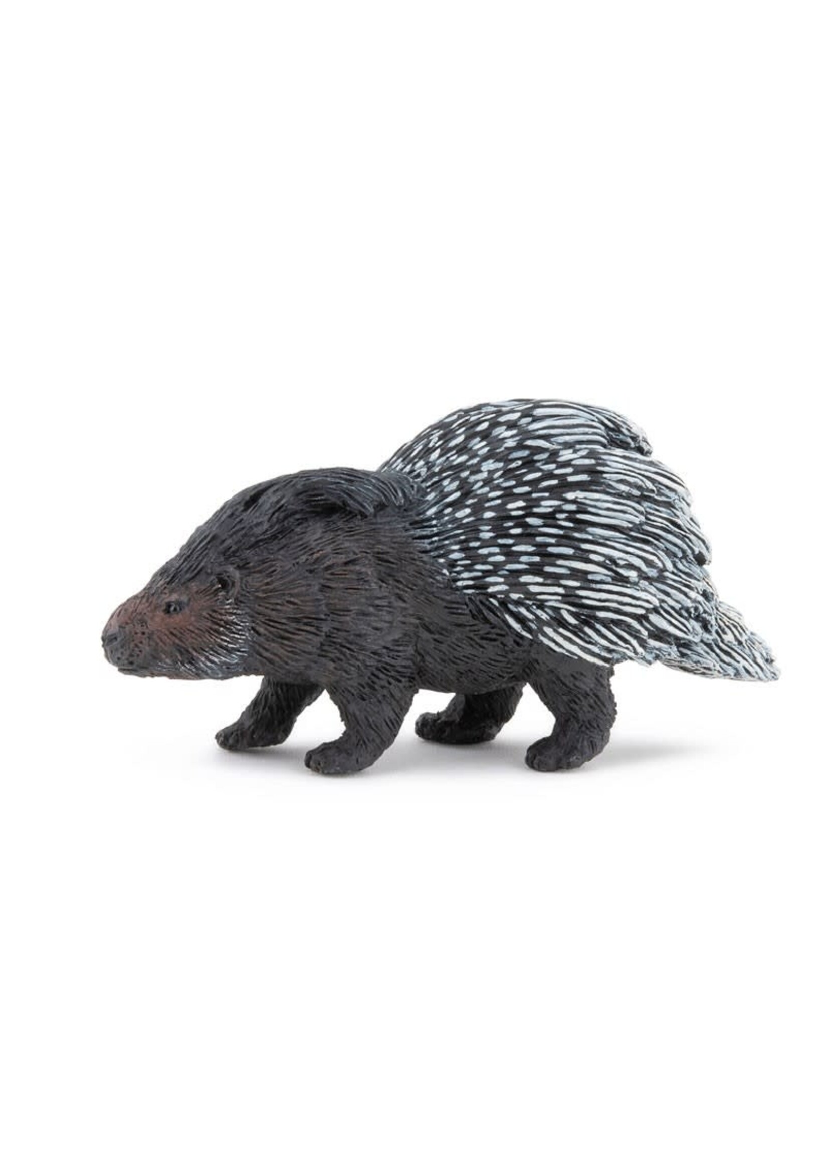 Papo Papo- Porc-épic