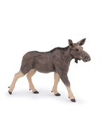 Papo Papo - Orignal/ELAN FEMELLE