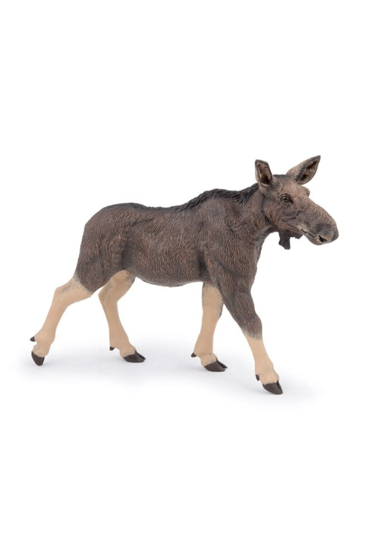 Papo Papo - Orignal/ELAN FEMELLE