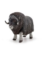 Papo Papo - Boeuf Musqué