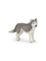 Papo Papo - Husky de sibérie