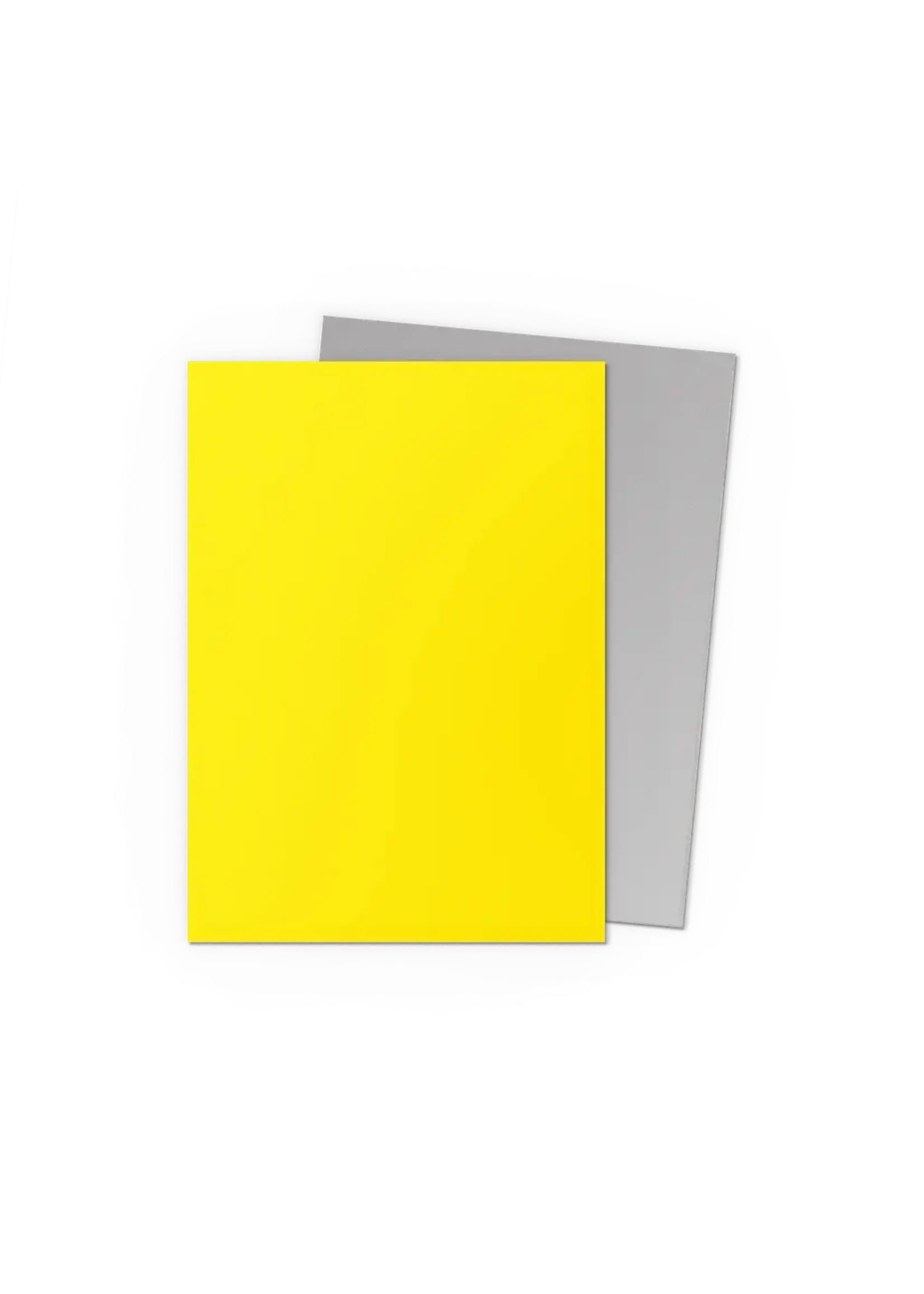 Dragon Shield Yellow & Silver - Matte Dual Sleeves