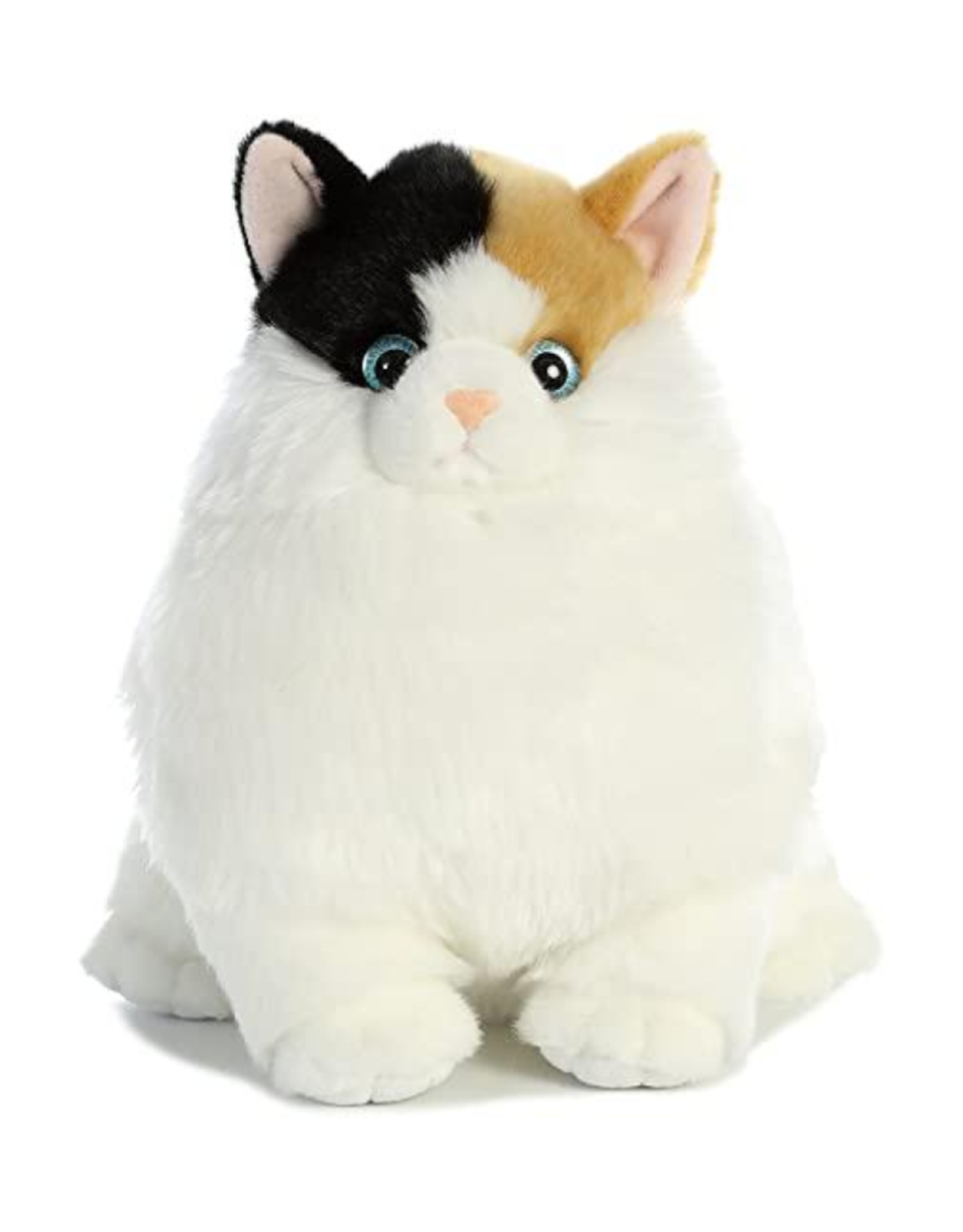 Aurora Muncy Calcio Fat Cat