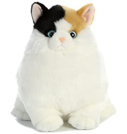 Aurora Munchy Calcio Fat Cat