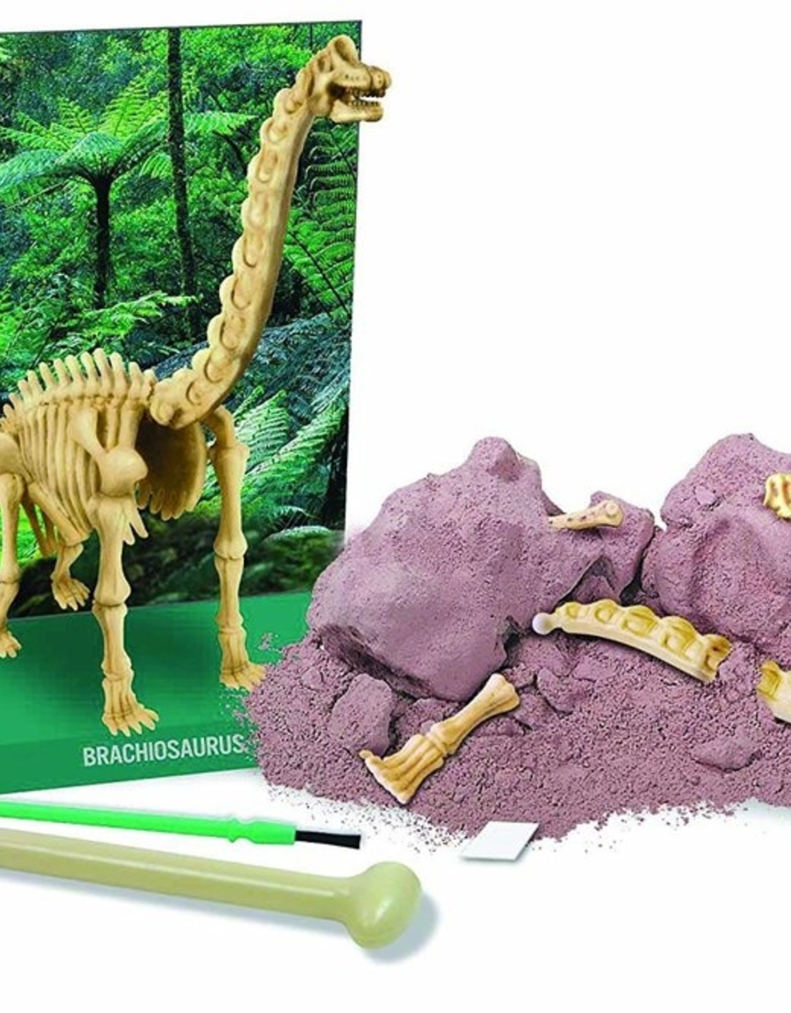 Toysmith Dig A Dino Brachiosaurus