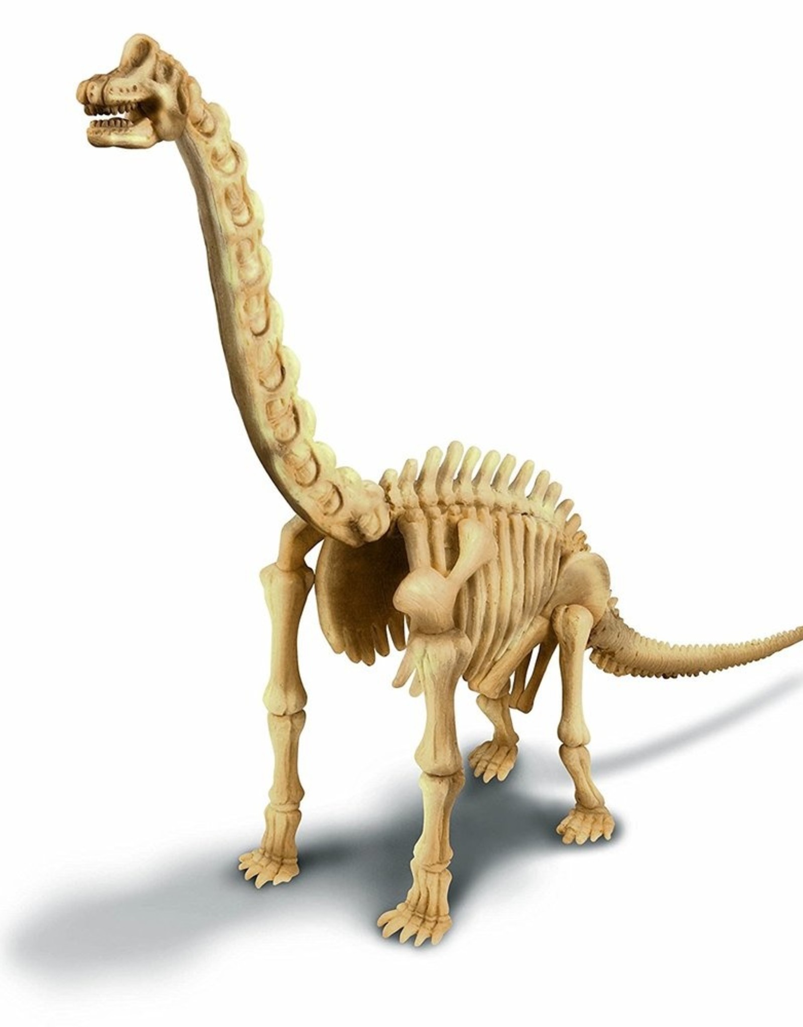 Toysmith Dig A Dino Brachiosaurus