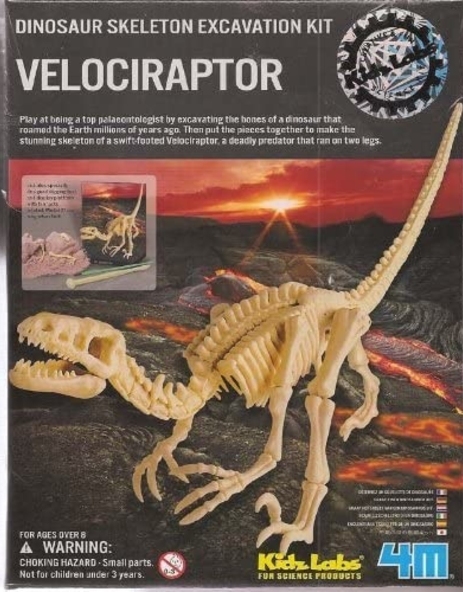 Toysmith Dig A Dino Velociraptor