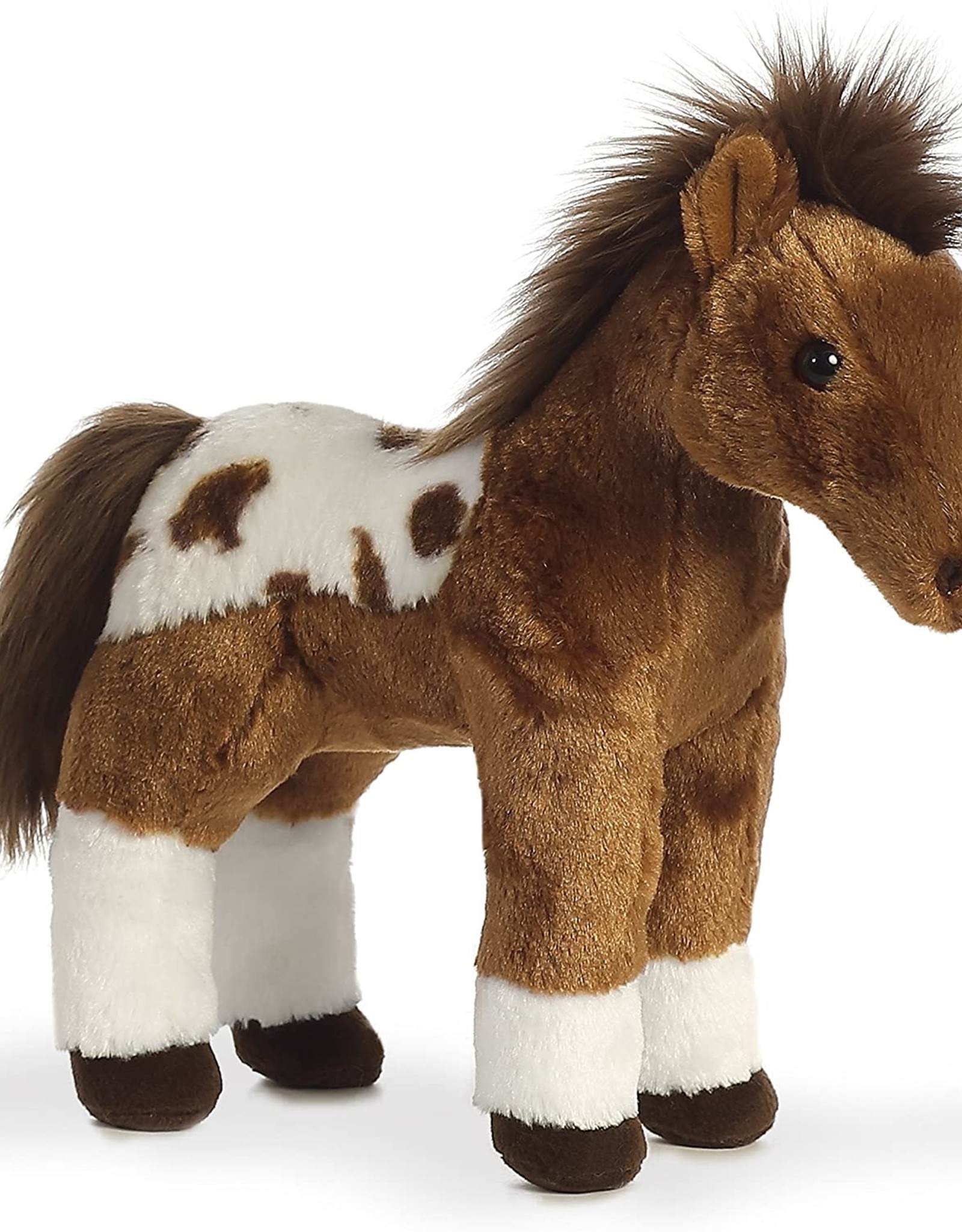 Aurora Dakota Horse
