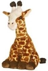 Aurora Giraffe