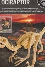 Toysmith Dig A Dino Velociraptor
