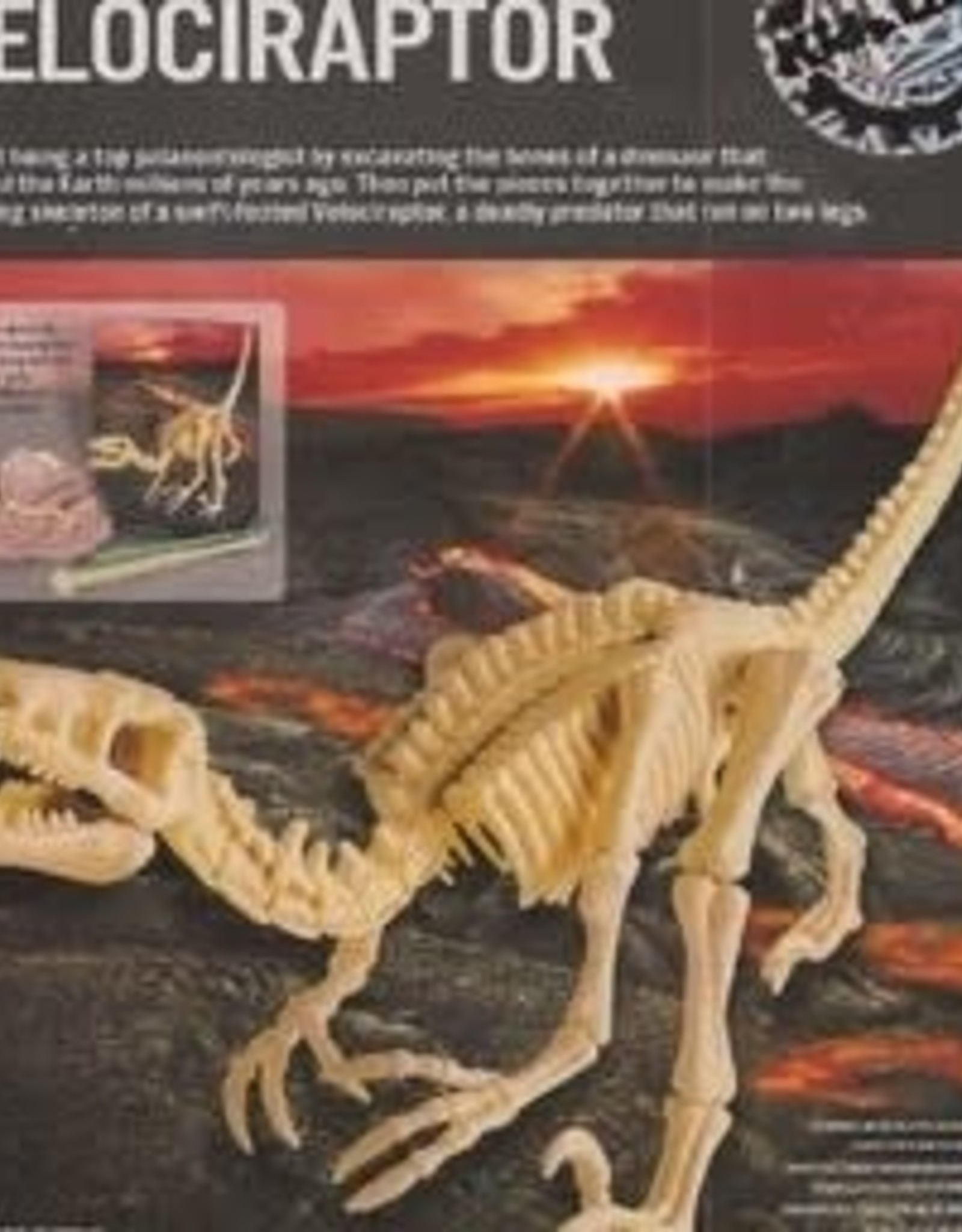 Toysmith Dig A Dino Velociraptor
