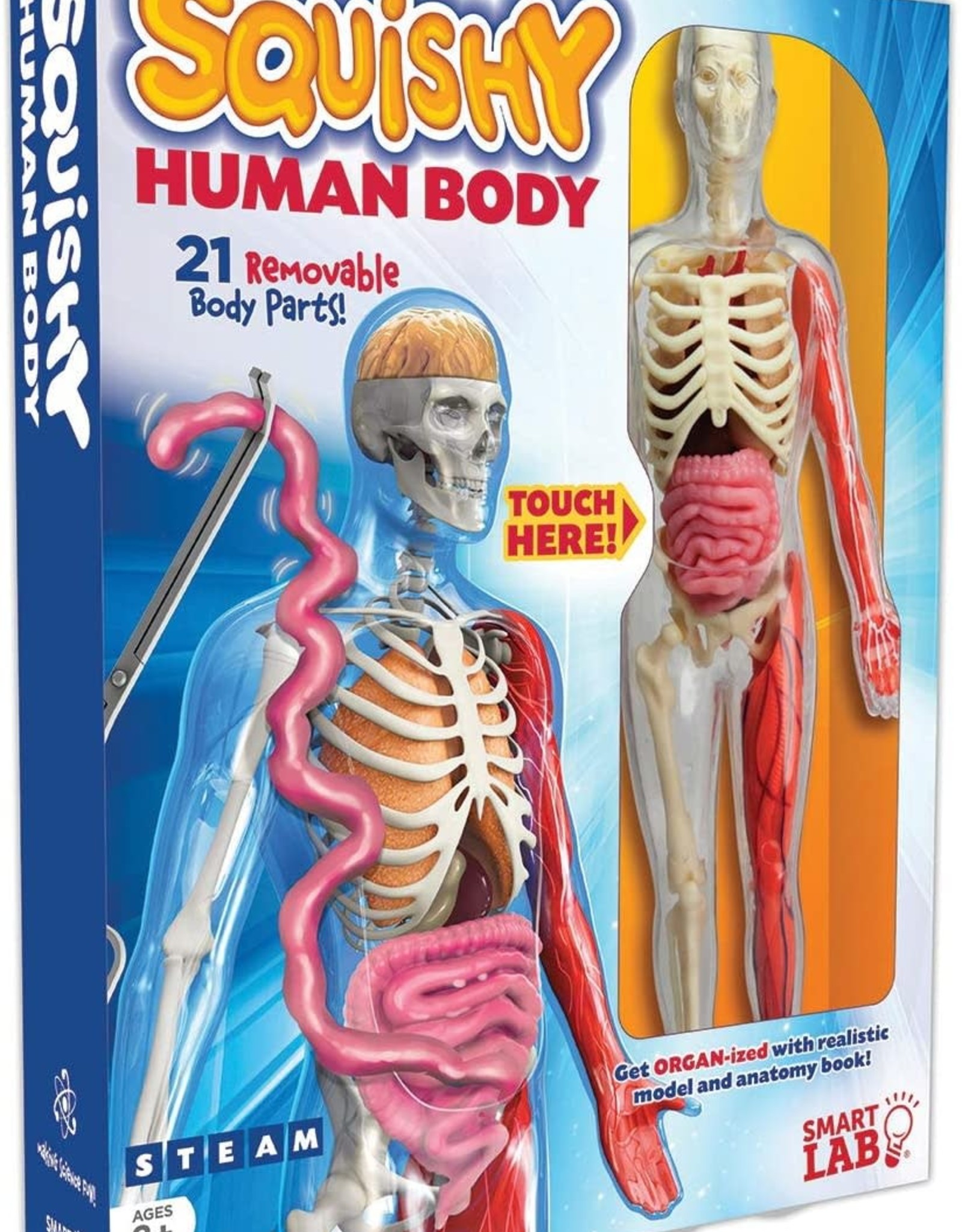 Squishy Human Body