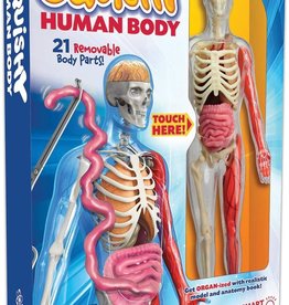 Squishy Human Body