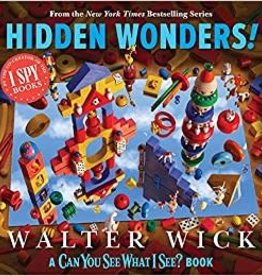 Can You See What I See?: Hidden Wonders