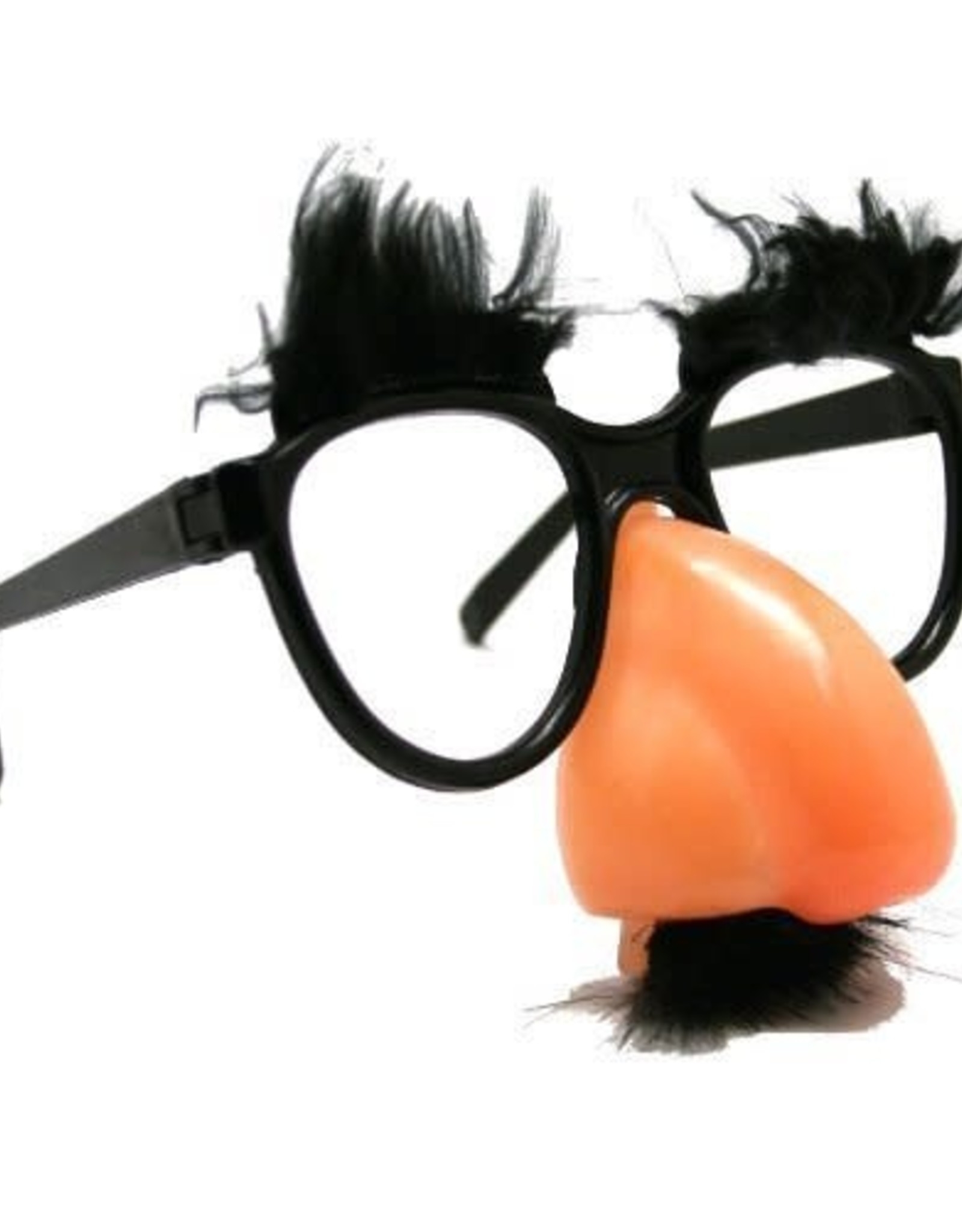 Glasses With Nose & Mustache